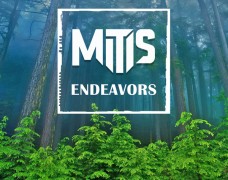 MitiS – Endeavors