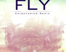 Apl.de.Ap – Fly (Knight Crime Remix)