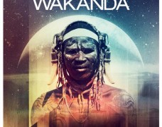 Dimitri Vegas & Like Mike – Wakanda
