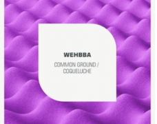 Wehbba – Common Ground / Coqueluche