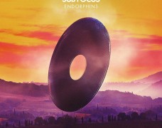 Sub Focus ft. Alex Clare – Endorphins [Preview]