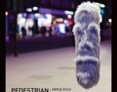 Pedestrian – Hoyle Road (Spectrasoul Remix)