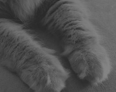 Cashmere Cat – Diplo & Friends Guest Mix