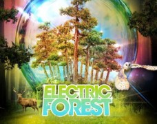 Electric Forest Preparation Guide