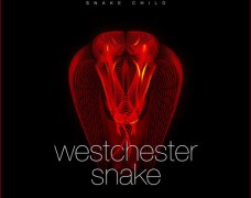 Snake Child – Westchester Snake