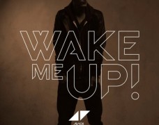 Avicii – Wake Me Up (feat. Aloe Blacc)