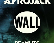 Afrojack – Peanuts