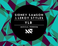 Sidney Samson & Leroy Styles – YLB [Preview]