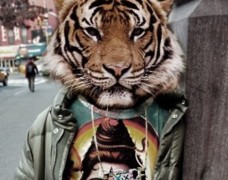 Fear of Tigers – Golden Age [Free Download]
