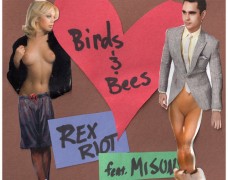 Rex Riot – Birds and Bees Feat. Misun