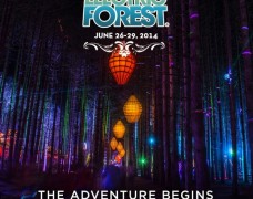 Electric Forest Tickets Now On Sale