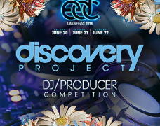 EDC Discovery 2014 Favorites